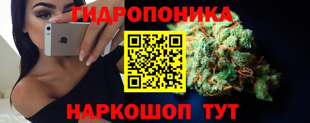 Бошки Шишки Amnesia  Вход с VPN  Канабис план  Альметьевск 